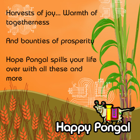 Bright&Colorful Pongal