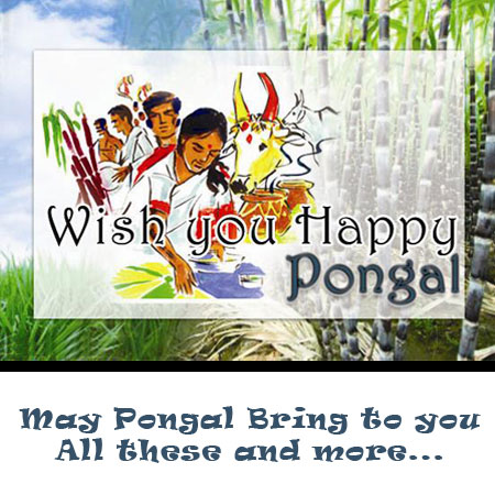 Pongal